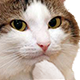 :kerker: :kerker: