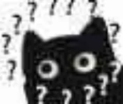 :blackcat_questions:
