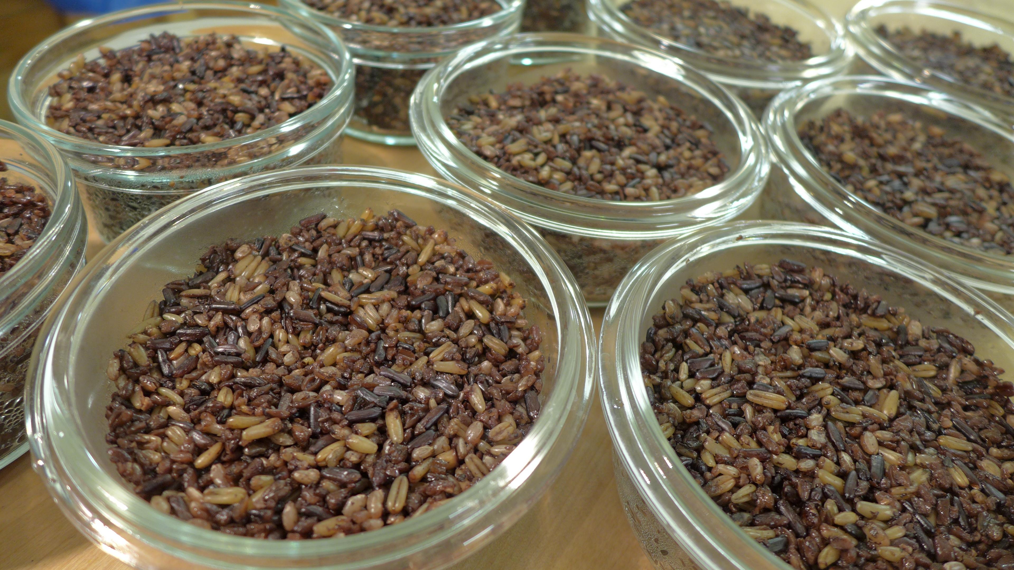 好幾個玻璃保鮮盒裡面裝著什穀米