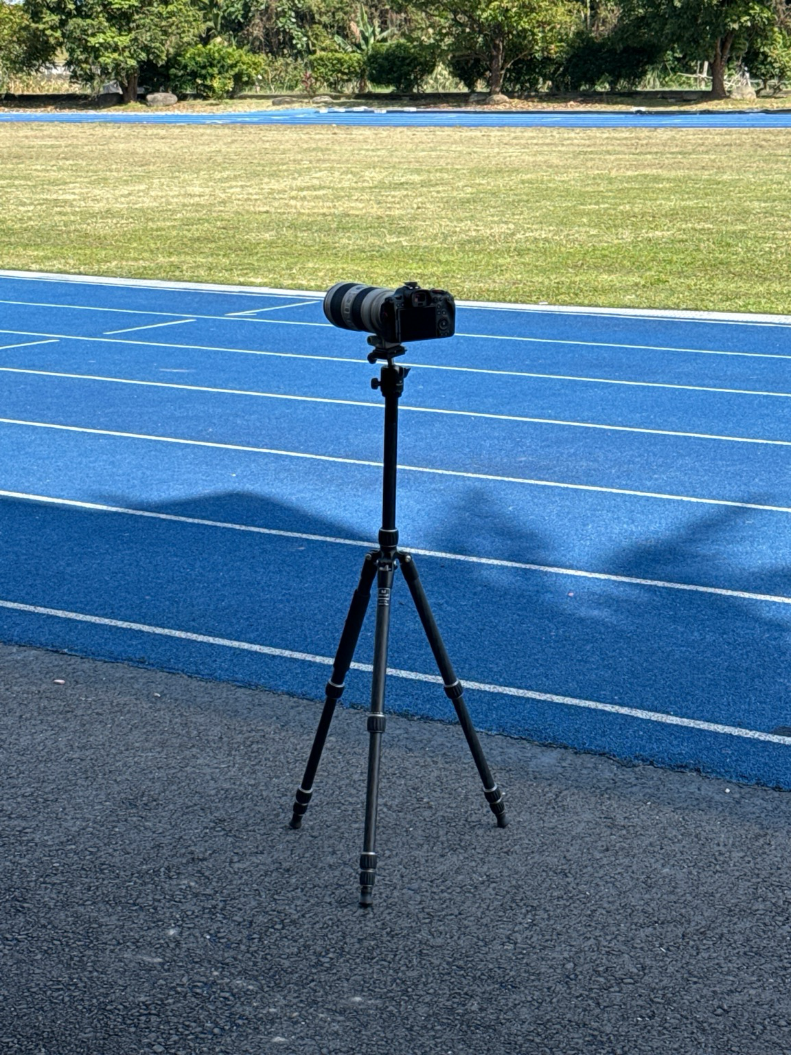 Posted media