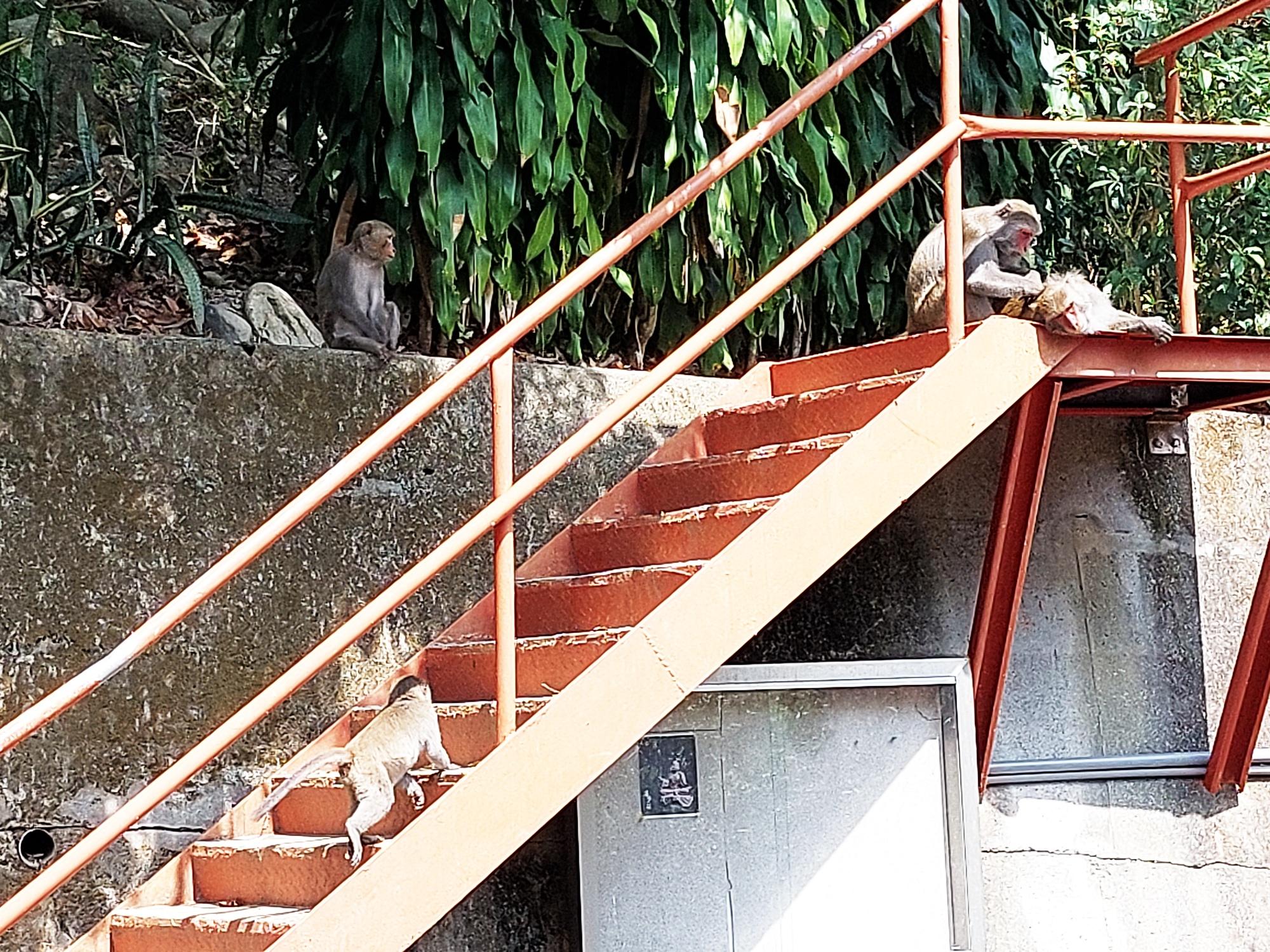 ๆฉ่ฒ็ๆจๆขฏ้ๅณไธๅทฆไธ๏ผไธ้ขๆๅ
ฉ้ป็ดๅญ๏ผไธ้ป็ดๅญๅจๆจๅพไธ