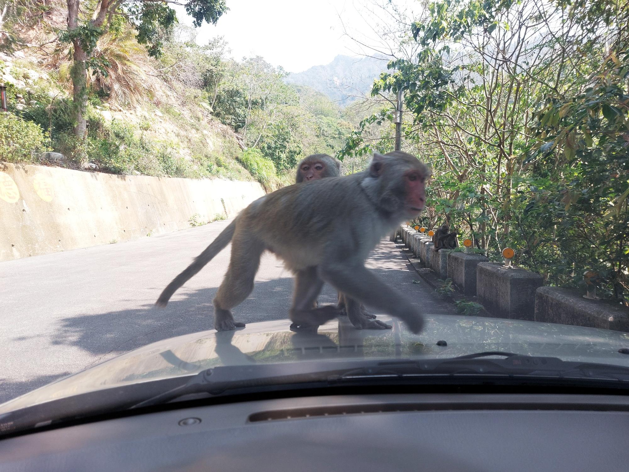 ็ดๅญ่ทณๅฐๆๆฑฝ่ป็ๅผๆ่ไธ