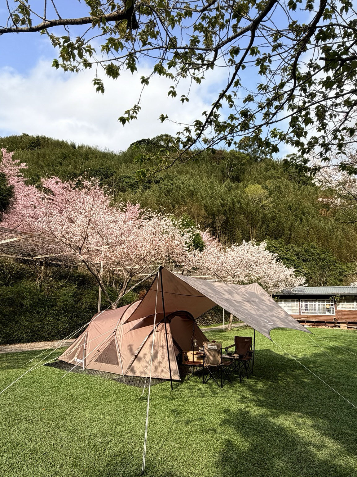 ่ชๆญๅธณ้ฆ้ฒ