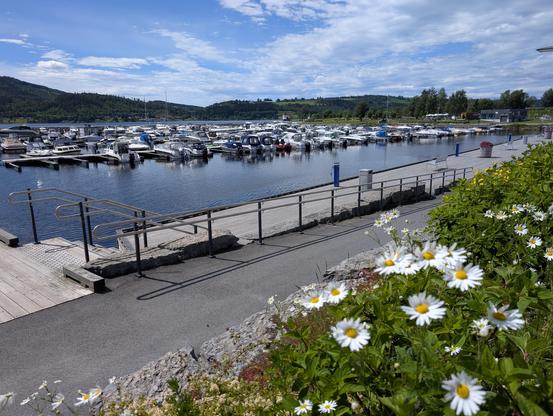 Posted media