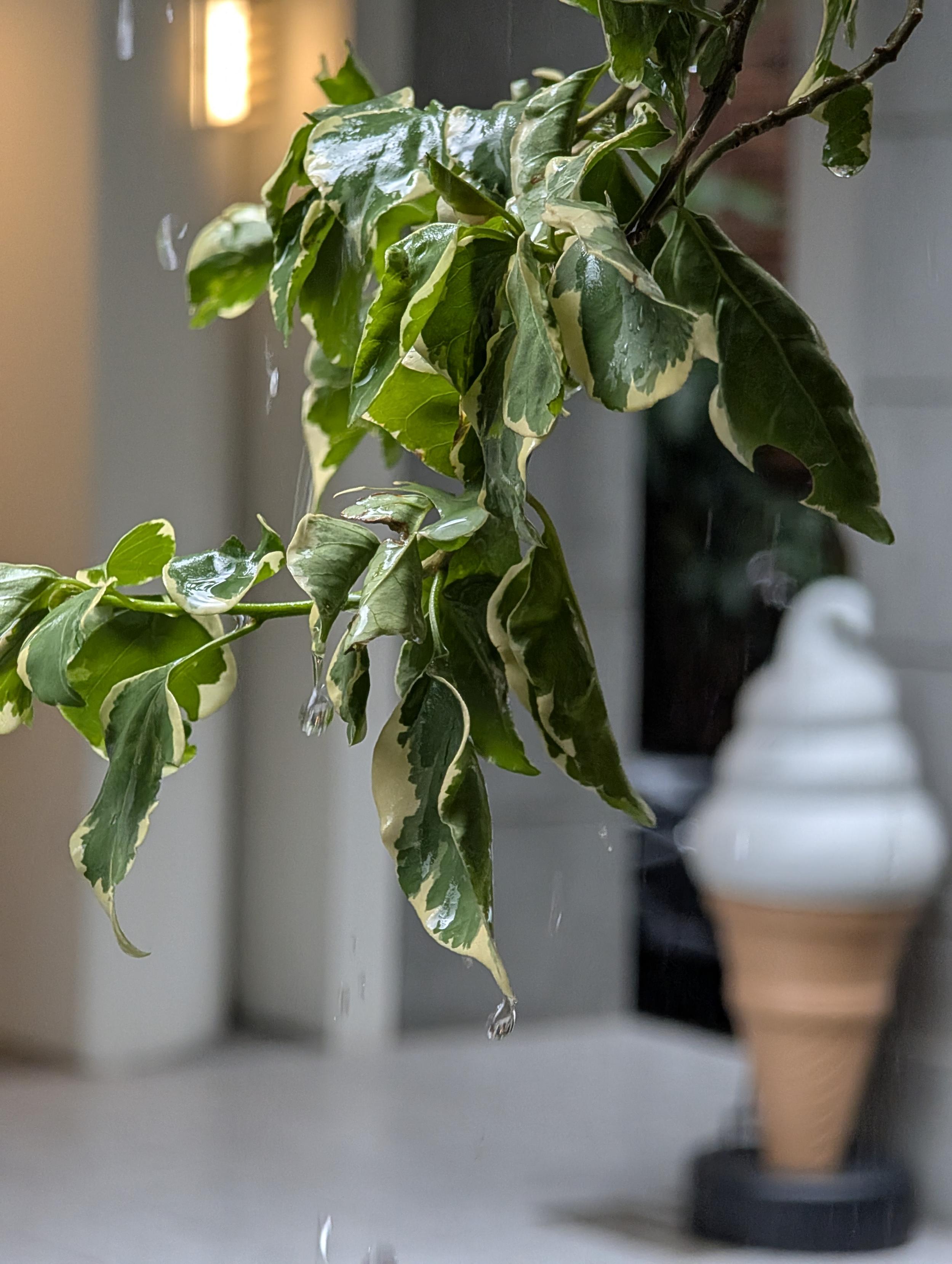 Posted media