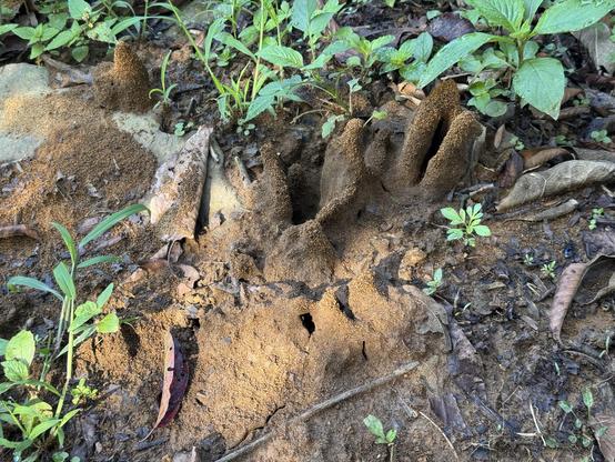 Posted media