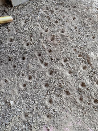 Posted media